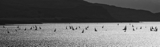 general sound of mull whw12pnrb fri rmc 3347